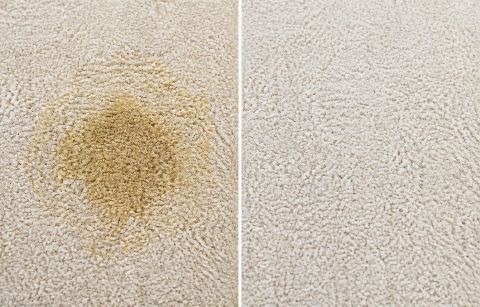 Before and after Pet stain — Cheektowaga — professional low-moisture cleaning by WNY Carpet Cleaning, Western New York