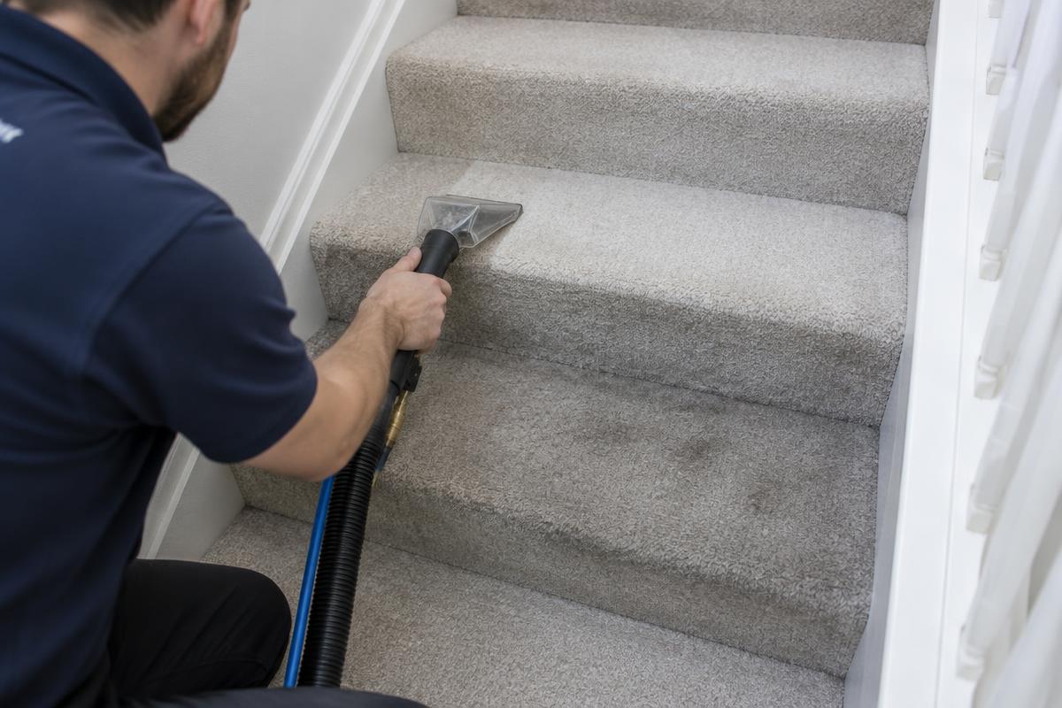 Technician cleaning carpeted stairs with a handheld tool, clean step next to a dirty step